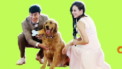 电影<我的男友和狗>制作特辑之CP典范