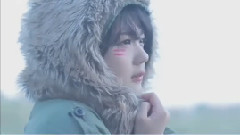 the peggies - グライダー