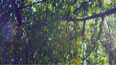 家入レオ - Get Your Love