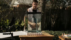 慢镜头下的墨滴