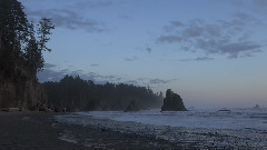 Olympic National Park Beaches Washington