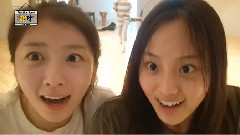 The Ark - Young Rascal In THEARK