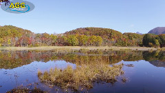 观音沼森林公园 红叶