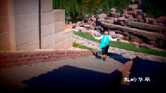 民乐群星 - 把你带回我的草原