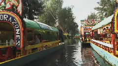 墨西哥城 Mexico City