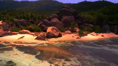 荣誉和荣耀 Honour And Glory