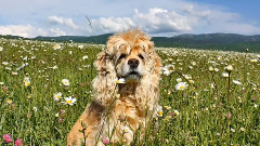 На солнышке