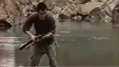 莫说来去无踪影