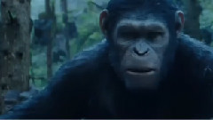 电影<猩球崛起:黎明之战>台湾版预告片