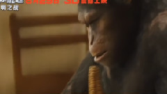 电影<猩球崛起:黎明之战>中文制作特辑之凯撒的故事