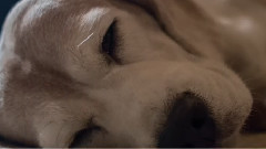 BMCC系列6-2014黑胶之旅