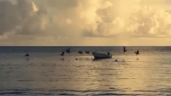 The King's Son,Shaggy - I'm Not Rich