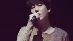 SJ ELF十载相伴 致我挚爱的少年