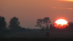 Raw Footage For One Day On Earth