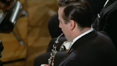 马勒<D大调第九交响曲>伯恩斯坦指挥