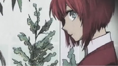 荆棘的魔法使与救赎的少女