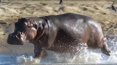 Life 2009 Challenges Of Life Part 3