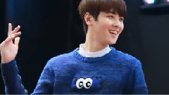 韩国群星 - 穿靴子的猫