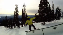 First 2 Days In Telus Park