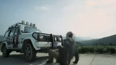 电影<为你而来>预告片