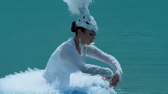 哈萨克舞蹈 - 白天鹅
