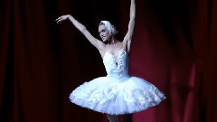 芭蕾舞 - 天鹅之死