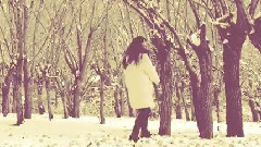 音悦stage - 秘密森林