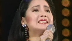 邓丽君 - つぐない