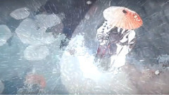 五色石南叶 - 慕寒 剑网叁非鱼