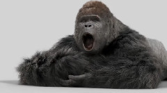 电影<大明猩>先行版1:角色版