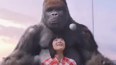 电影<大明猩>其它预告片1:双猩大对决
