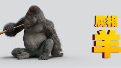 电影<大明猩>花絮4: