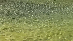 Natural Flow五彩黄龙