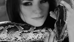 Улетит стая