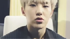 Seventeen Diary By Hoshi