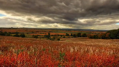 延时摄影:美丽的HDR天空