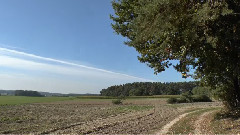 Spaziergang im Herbst-S