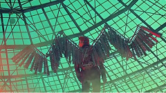 东雨天使2015年生日祝贺视频