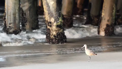 Santa Monica Sunrise - Shot with a Canon 5D Mark II