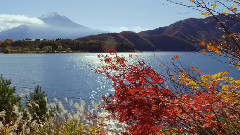 紅葉と富士山