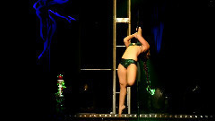 Liquid Luxe performs at Pole and Aerial All Stars 2014