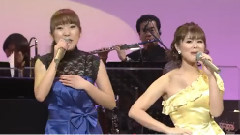 森山爱子 - 黄色いさくらんぼ