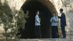 民乐群星 - 京郊行