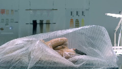 Morphe Short Film for Aesop