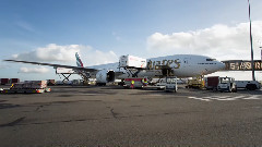 Your Airport In Motion