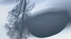 The First Snowflakes