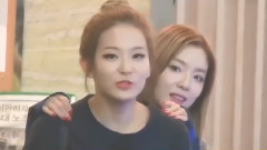 Gemini Seulgi & Irene