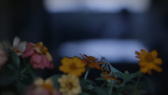 电影<百日告別> 台湾预告片1