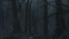 Hi Finesse - Rebirth Ultra