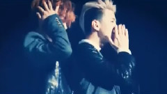 樱花樱花想见你